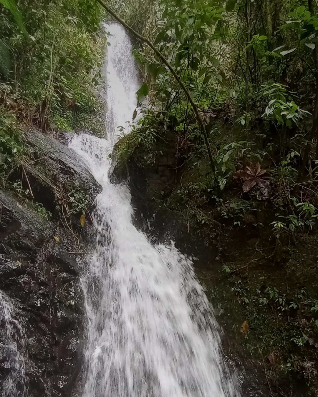 Cascada Campanitas — Pueblo Pance, Vereda San Pablo
